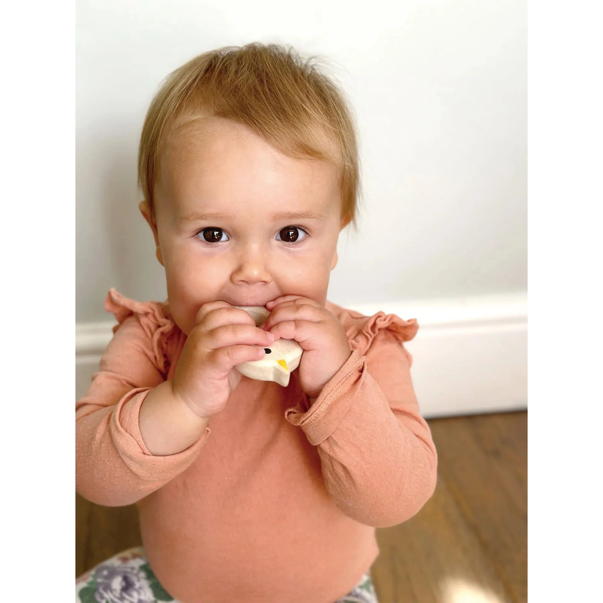 MENTARI Bird & Kitten Teether