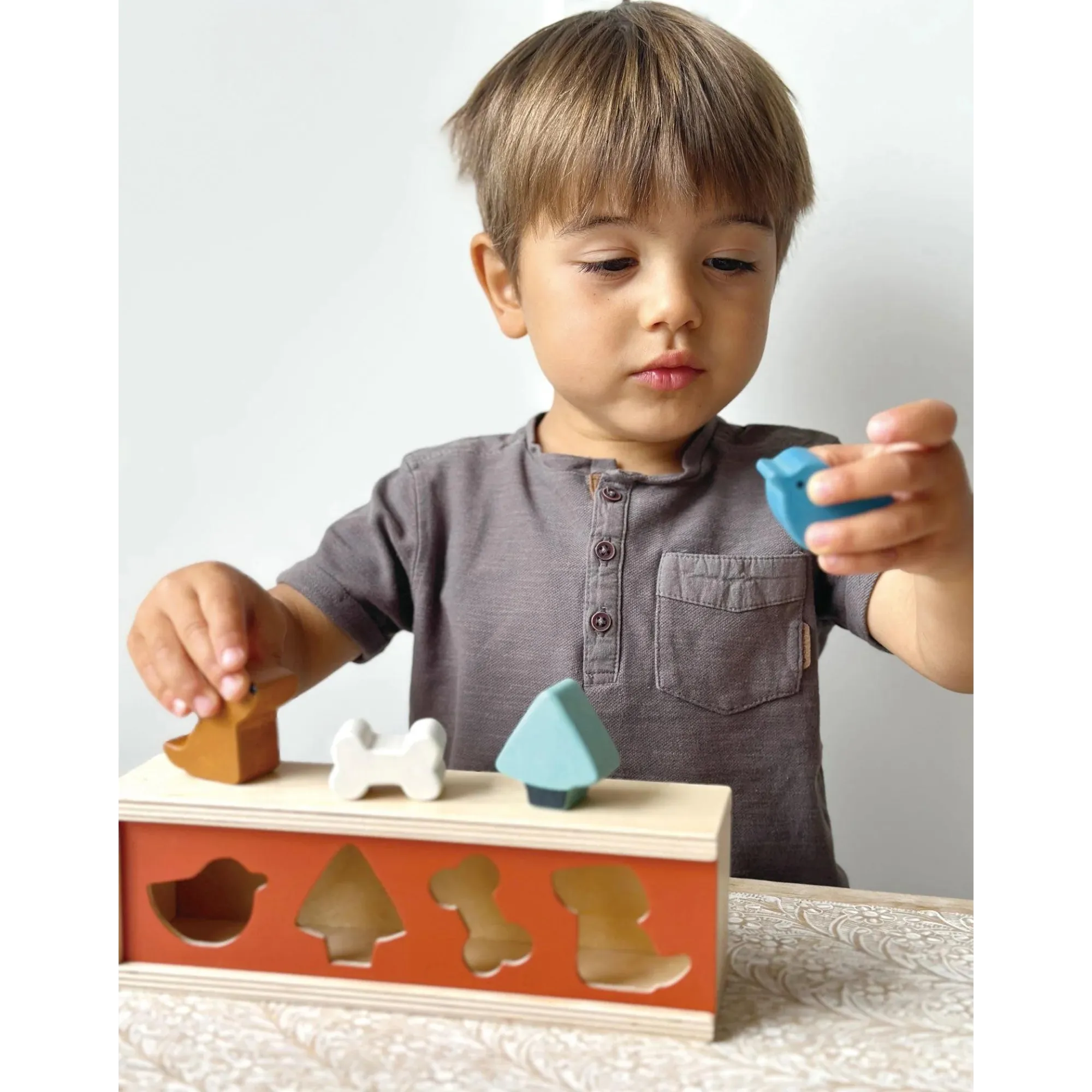 MENTARI Pet Shape Sorting Box
