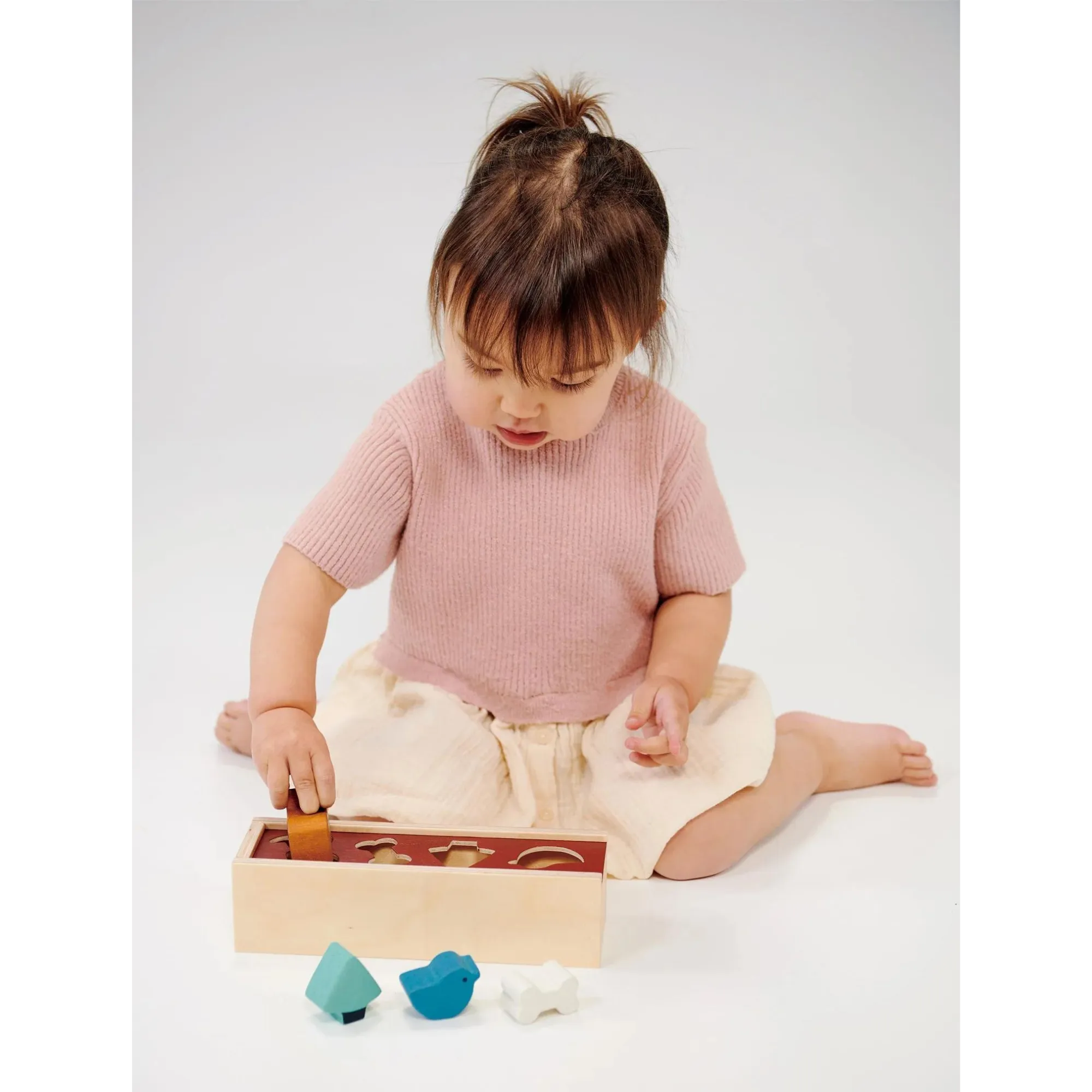MENTARI Pet Shape Sorting Box