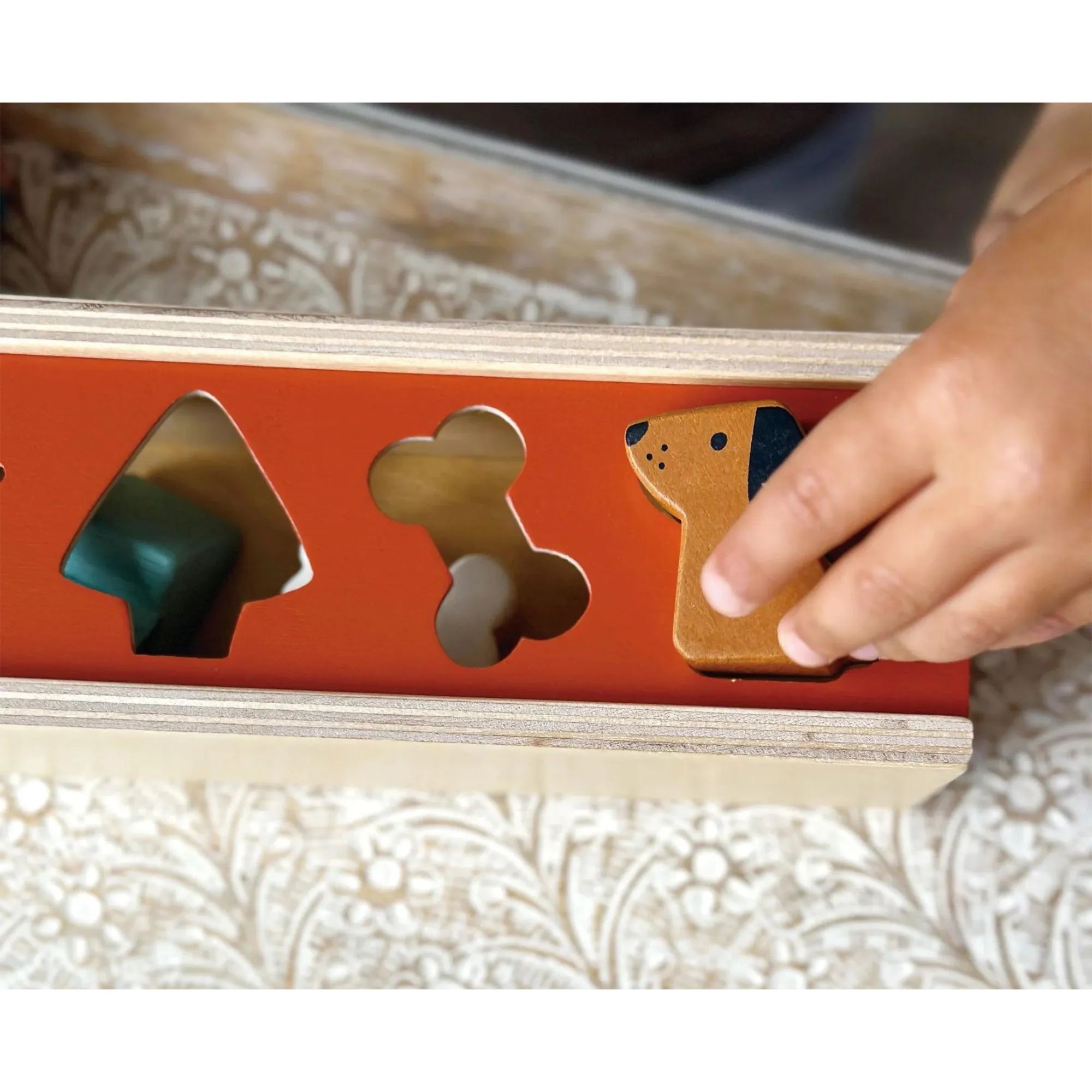 MENTARI Pet Shape Sorting Box