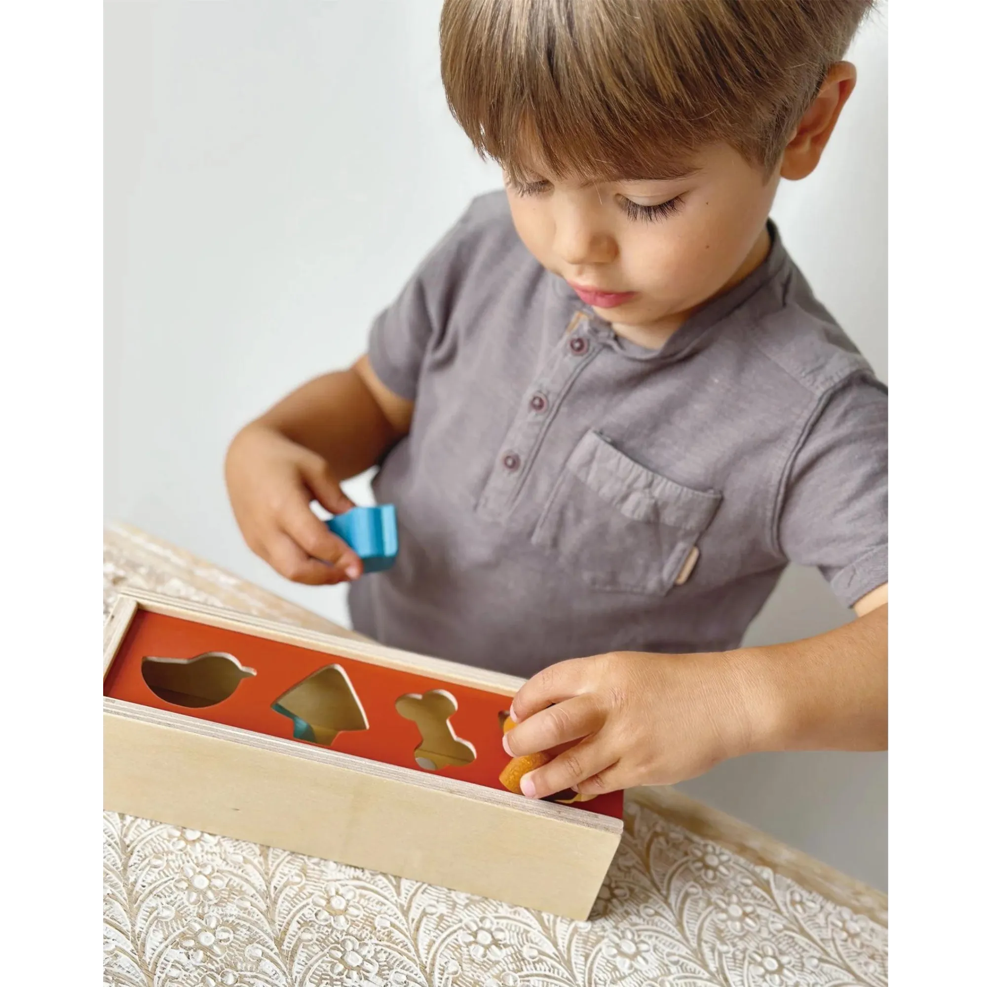 MENTARI Pet Shape Sorting Box