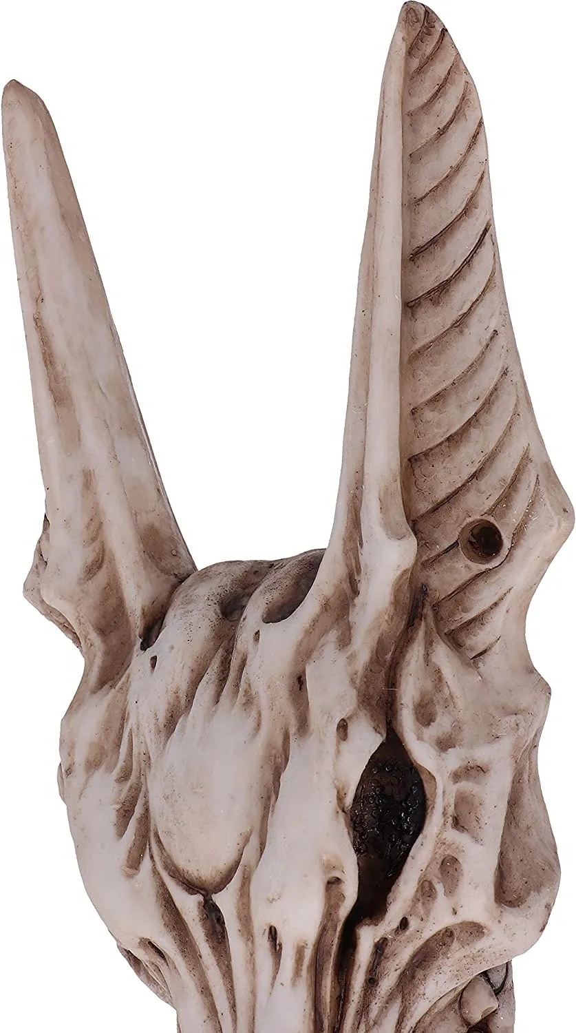 Nemesis Now Decor Nemesis Now Anubis' Guard Door Knocker 25.4cm, Brown