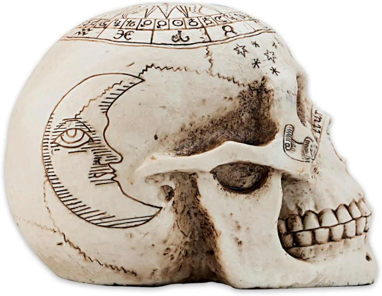 Nemesis Now Decor Nemesis Now Astrological Skull Figurine 29cm Ivory