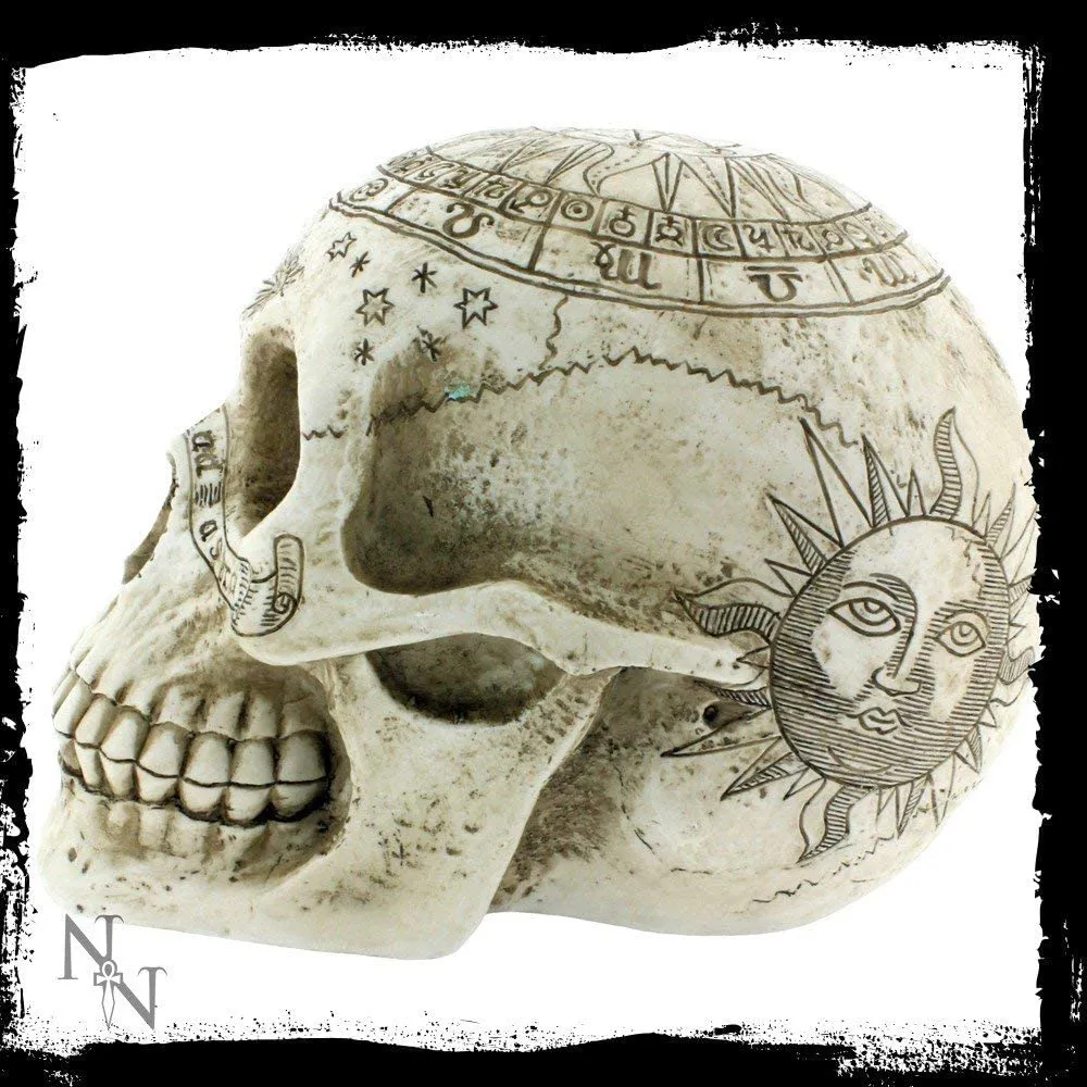 Nemesis Now Decor Nemesis Now Astrological Skull Figurine 29cm Ivory