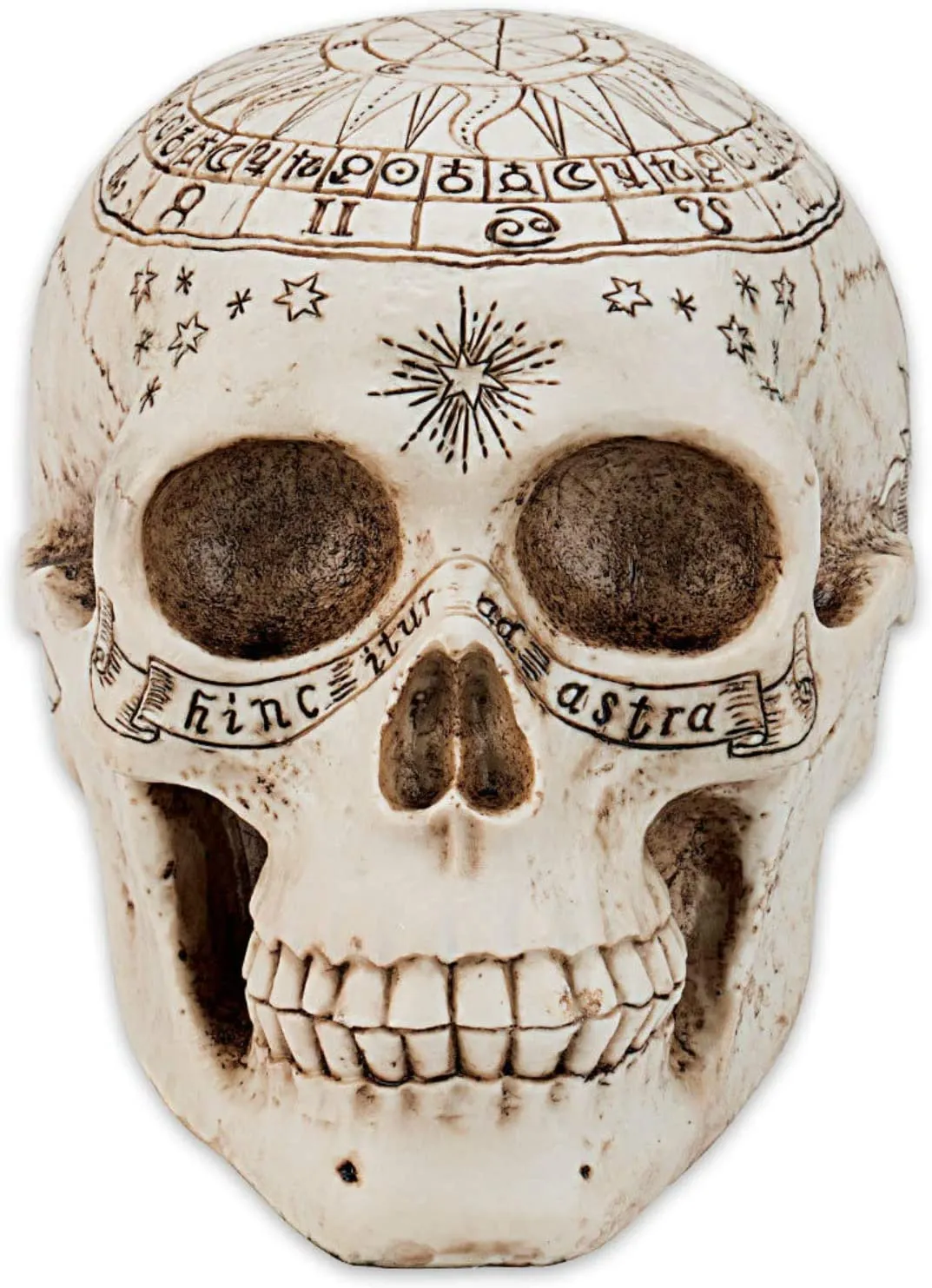 Nemesis Now Decor Nemesis Now Astrological Skull Figurine 29cm Ivory