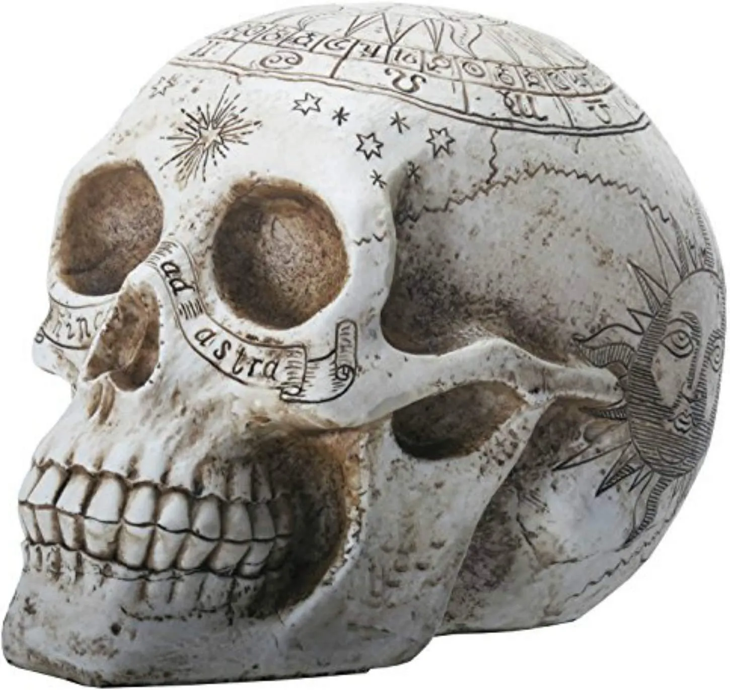 Nemesis Now Decor Nemesis Now Astrological Skull Figurine 29cm Ivory