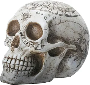 Nemesis Now Decor Nemesis Now Astrological Skull Figurine 29cm Ivory
