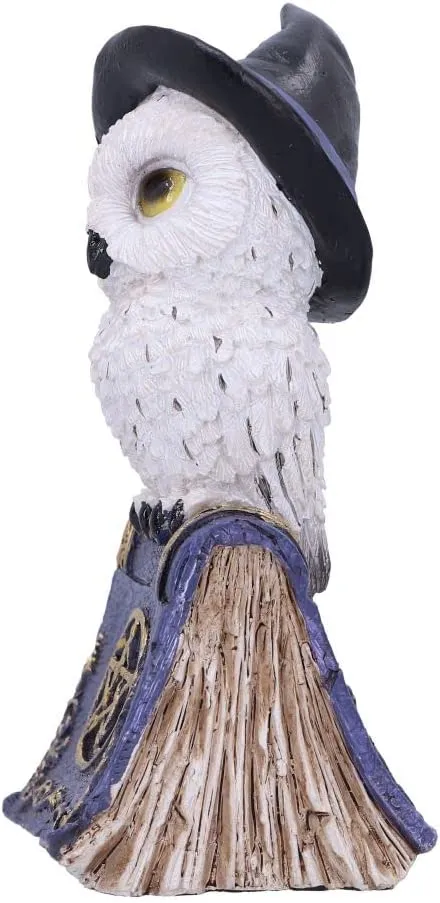 Nemesis Now Decor Nemesis Now Avian Spell (Purple) 12.5cm