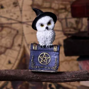 Nemesis Now Decor Nemesis Now Avian Spell (Purple) 12.5cm
