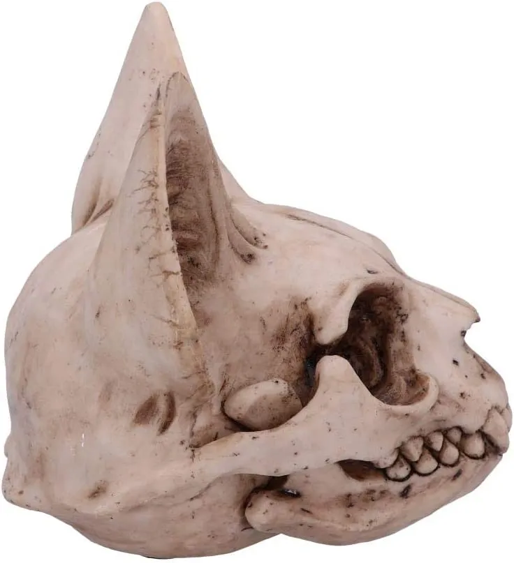 Nemesis Now Decor Nemesis Now Bastet's Secret Cat Skull Figurine Ornament, Natural Bone Colour, On