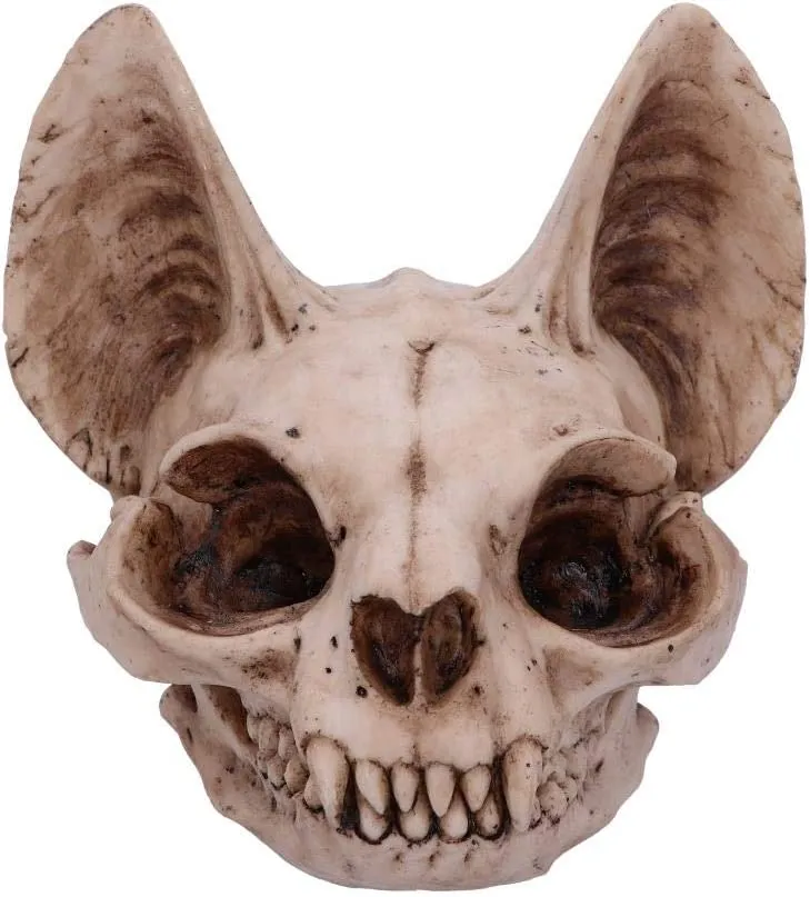 Nemesis Now Decor Nemesis Now Bastet's Secret Cat Skull Figurine Ornament, Natural Bone Colour, On