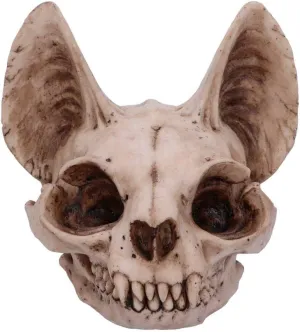 Nemesis Now Decor Nemesis Now Bastet's Secret Cat Skull Figurine Ornament, Natural Bone Colour, On