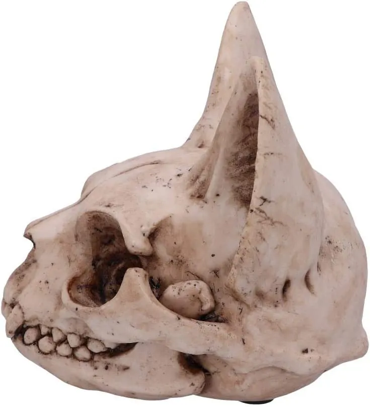 Nemesis Now Decor Nemesis Now Bastet's Secret Cat Skull Figurine Ornament, Natural Bone Colour, On