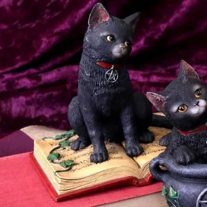 Nemesis Now Decor Nemesis Now Eclipse Figurine 16cm Black