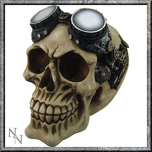 Nemesis Now Decor Nemesis Now Goggles 15cm, Resin, Ivory