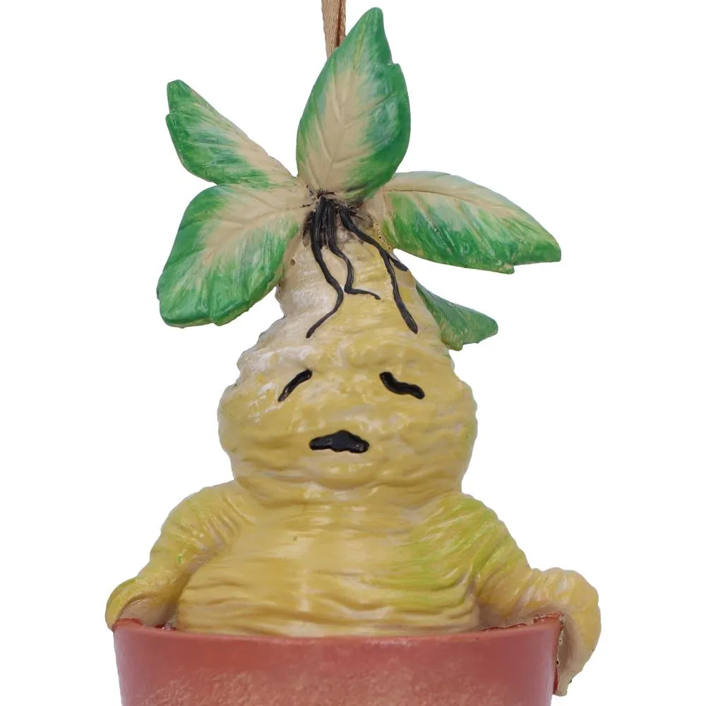 Nemesis Now Decor Nemesis Now Harry Potter Mandrake Plant Hanging Ornament, Resin, Green, 9.5cm