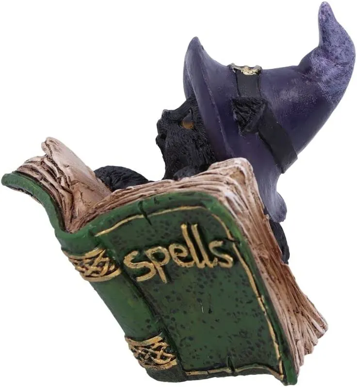 Nemesis Now Decor Nemesis Now Kitty's Grimoire (Green) 8.2cm