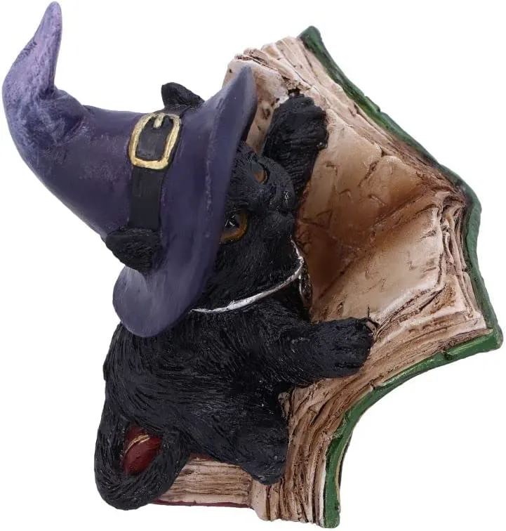 Nemesis Now Decor Nemesis Now Kitty's Grimoire (Green) 8.2cm
