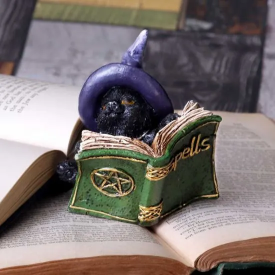 Nemesis Now Decor Nemesis Now Kitty's Grimoire (Green) 8.2cm