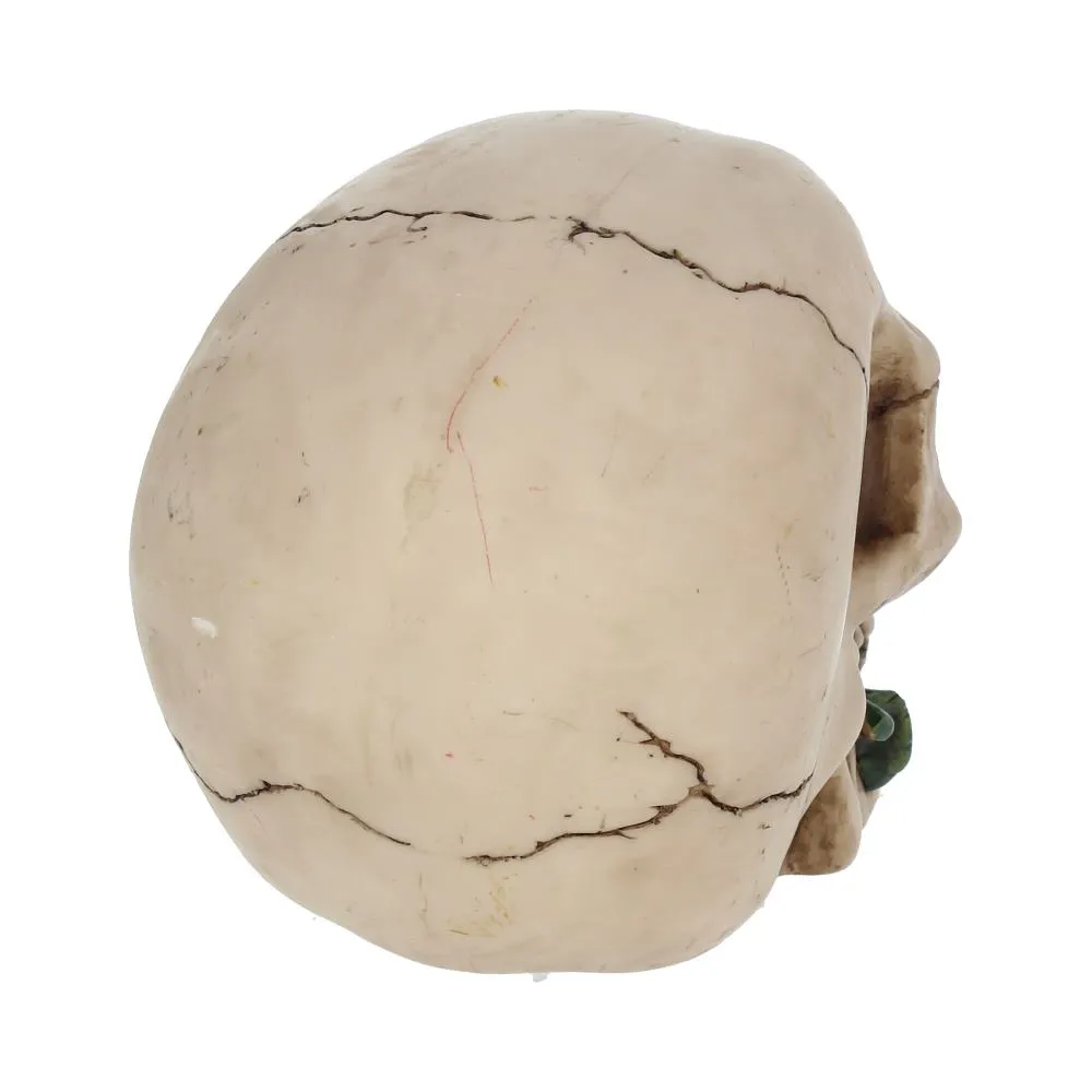 Nemesis Now Decor Nemesis Now NEM3721 Rose From the Dead Figurine 13.5cm Ivory