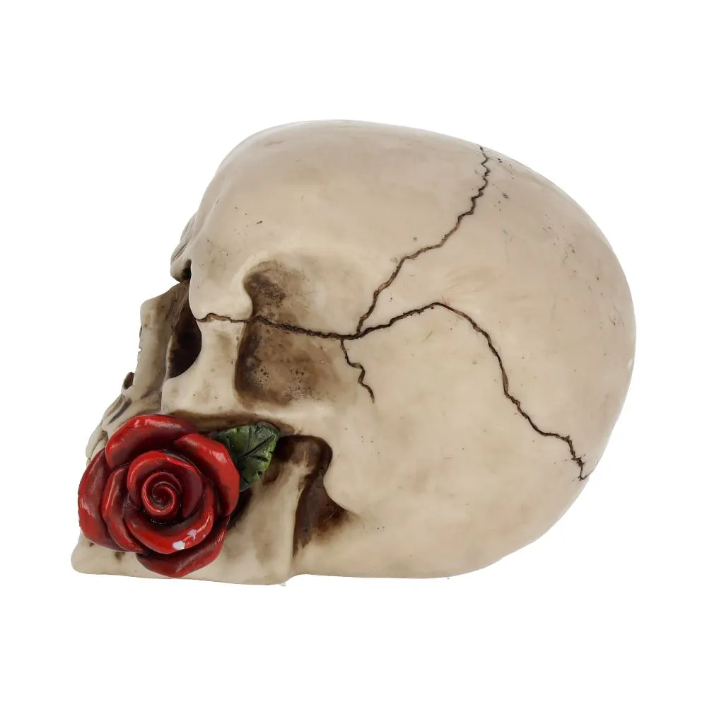 Nemesis Now Decor Nemesis Now NEM3721 Rose From the Dead Figurine 13.5cm Ivory
