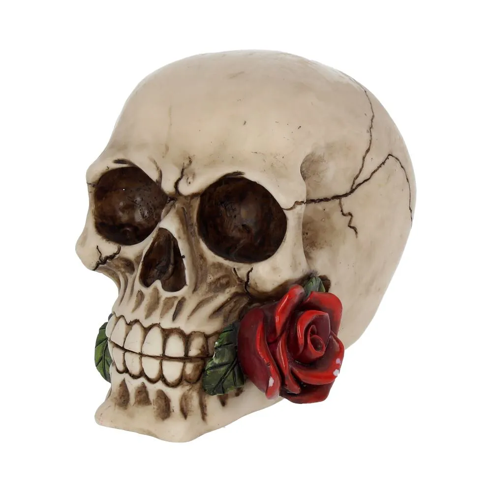 Nemesis Now Decor Nemesis Now NEM3721 Rose From the Dead Figurine 13.5cm Ivory