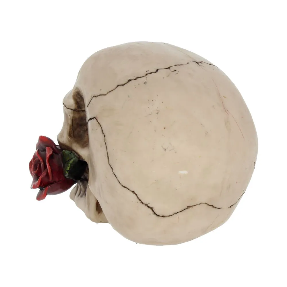 Nemesis Now Decor Nemesis Now NEM3721 Rose From the Dead Figurine 13.5cm Ivory