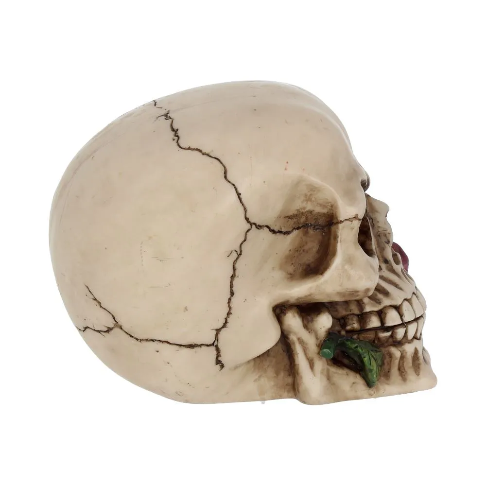 Nemesis Now Decor Nemesis Now NEM3721 Rose From the Dead Figurine 13.5cm Ivory