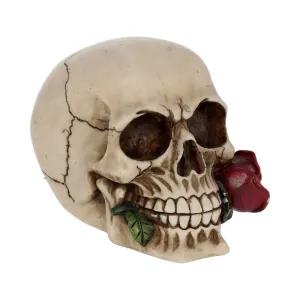 Nemesis Now Decor Nemesis Now NEM3721 Rose From the Dead Figurine 13.5cm Ivory