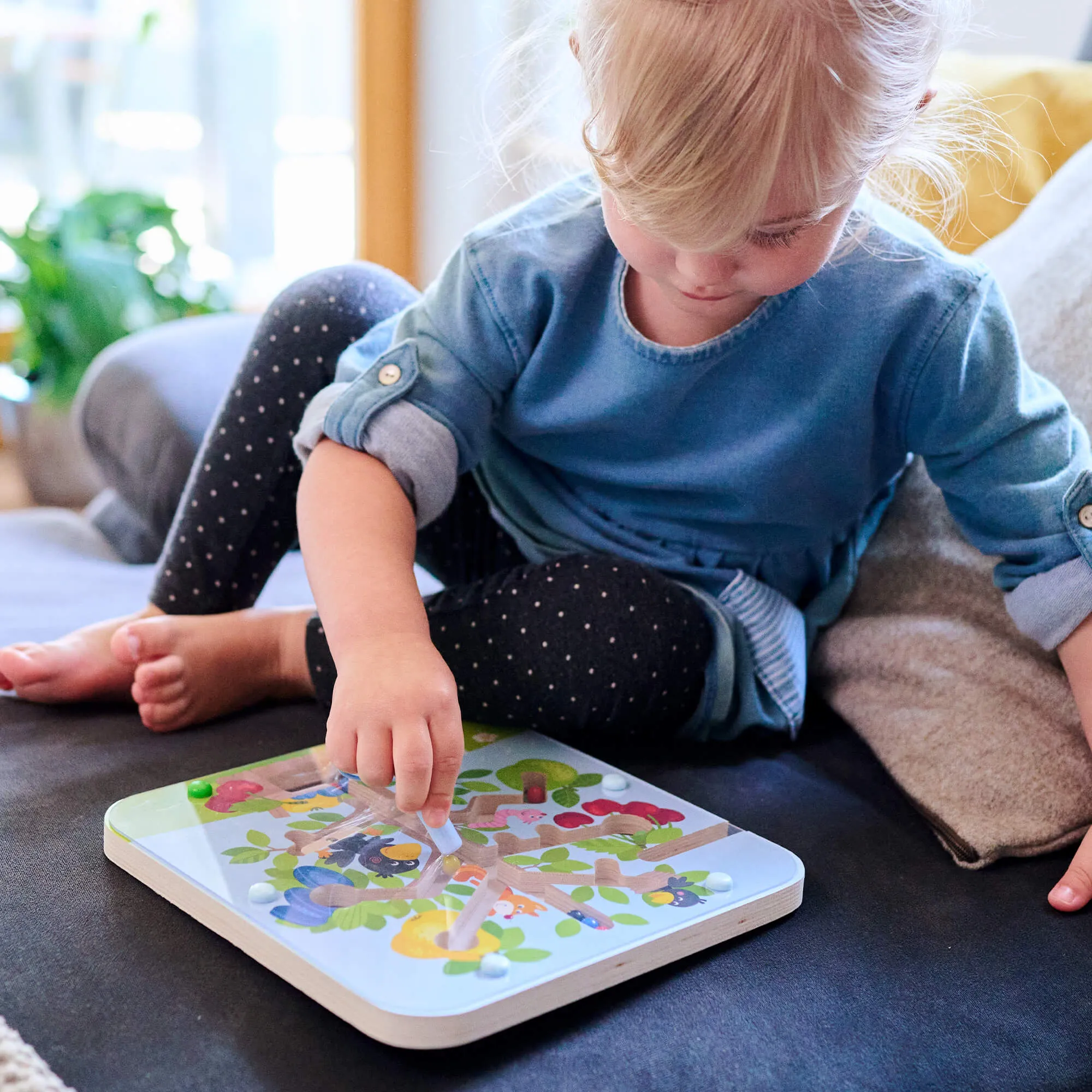 Orchard Maze Magnetic Sorting Game
