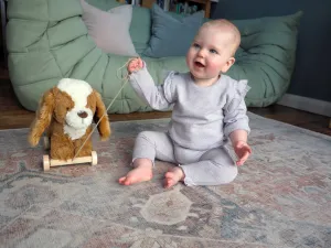Peanut Pup Pull Along Toy