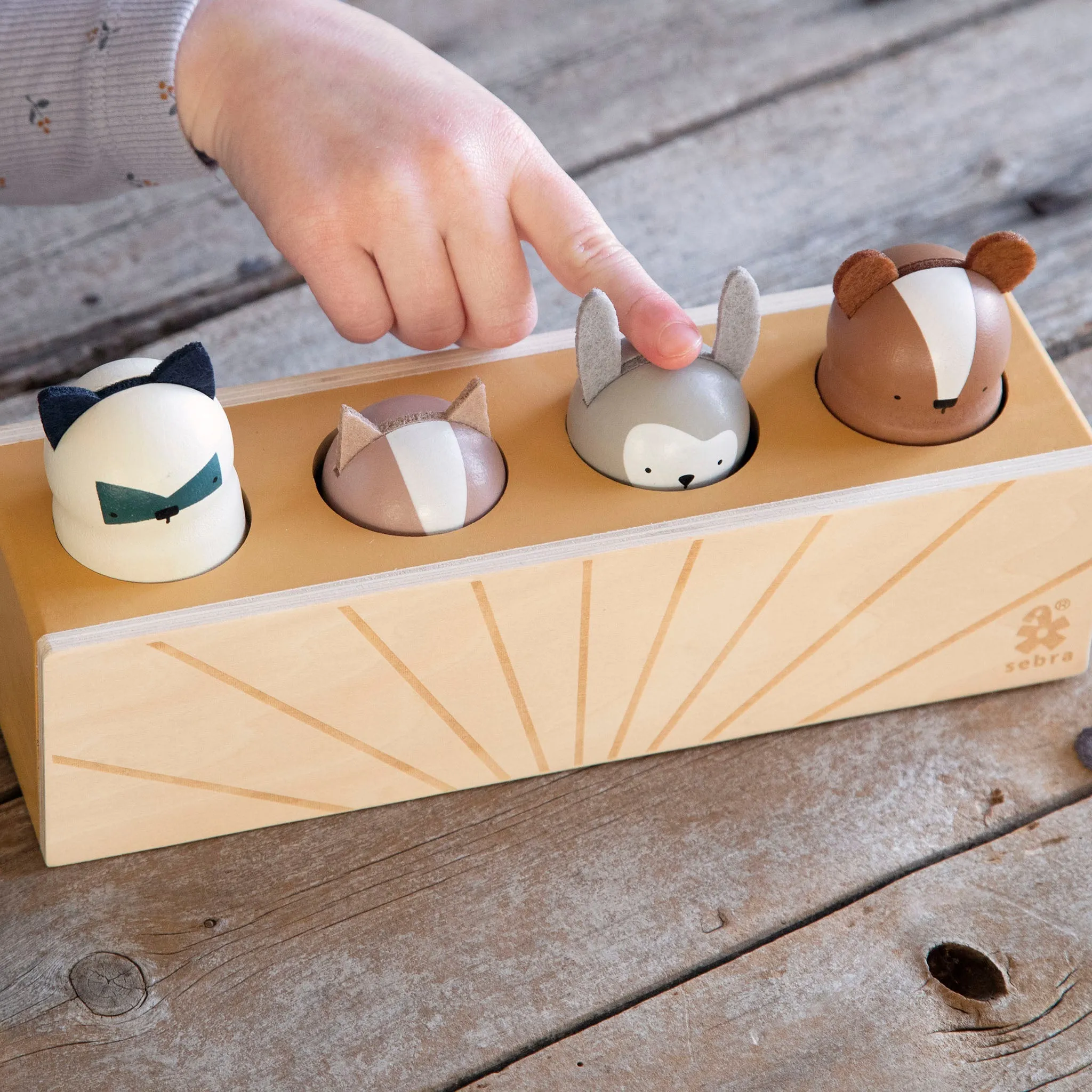 Sebra, Wooden Pop Up Interactive Toy
