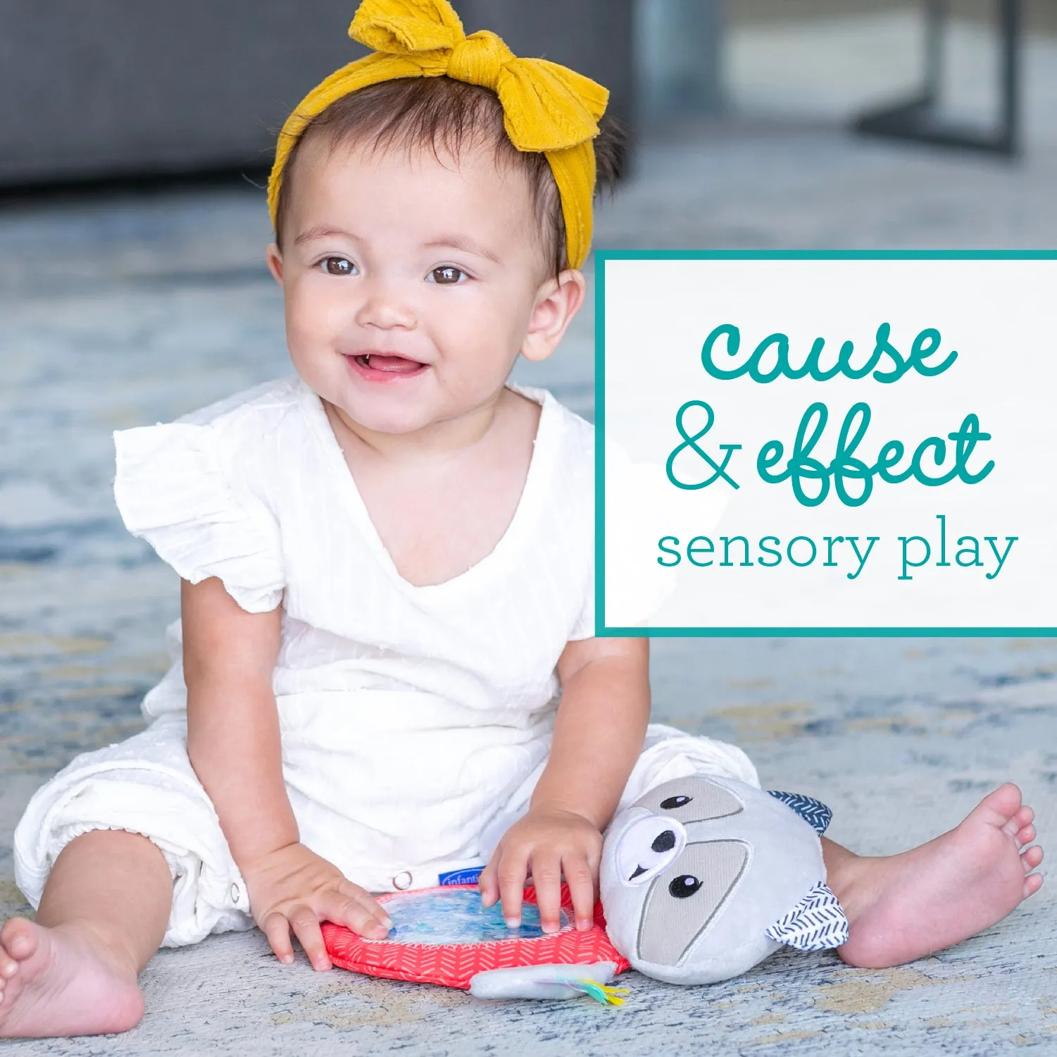 SEEK & SQUISH SENSORY PAL™ Raccoon