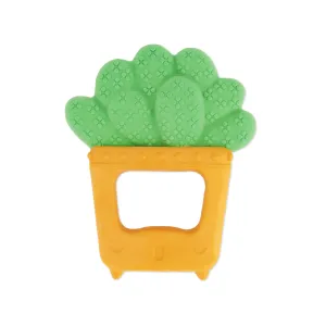 Squeeze & Teethe Succulent™