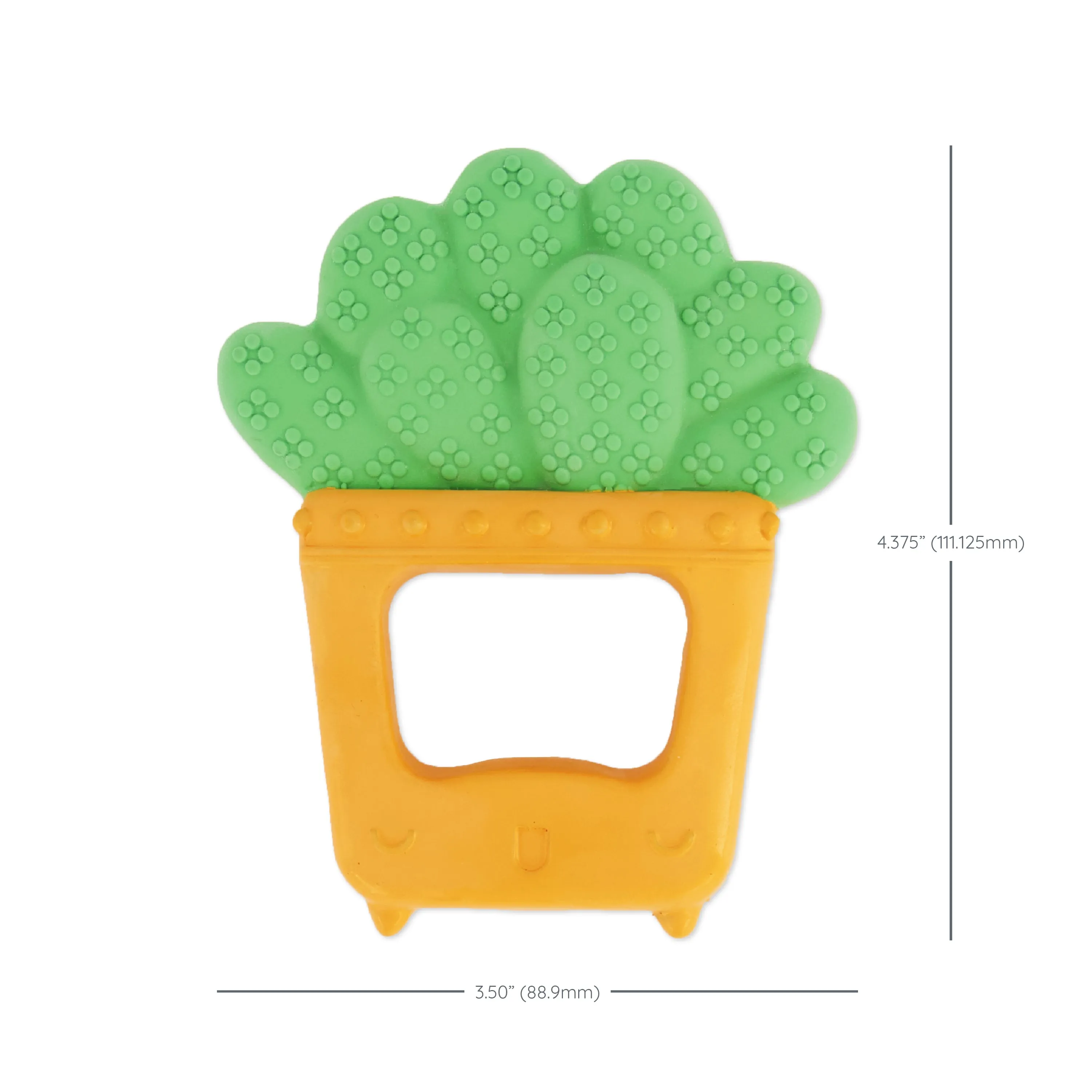 Squeeze & Teethe Succulent™