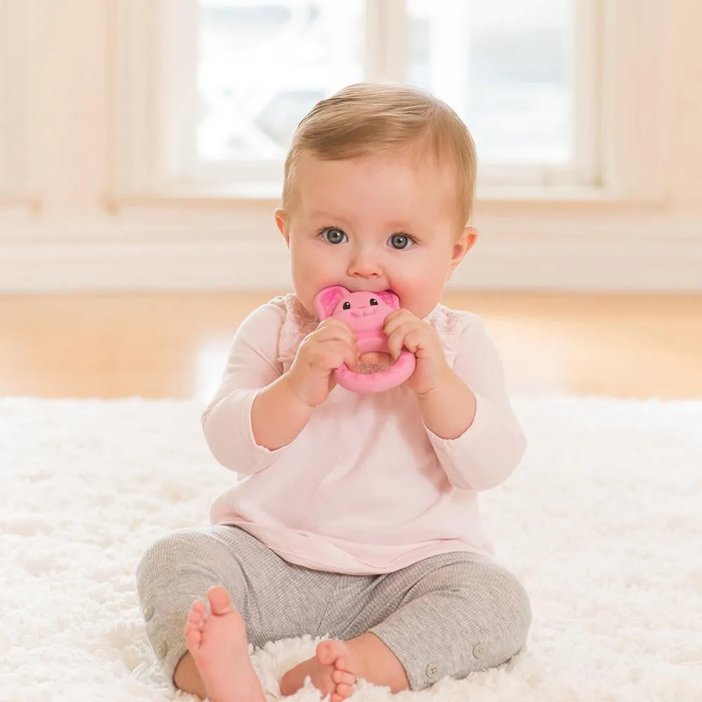Squeeze & Teethe Textured Pal™ - Bunny