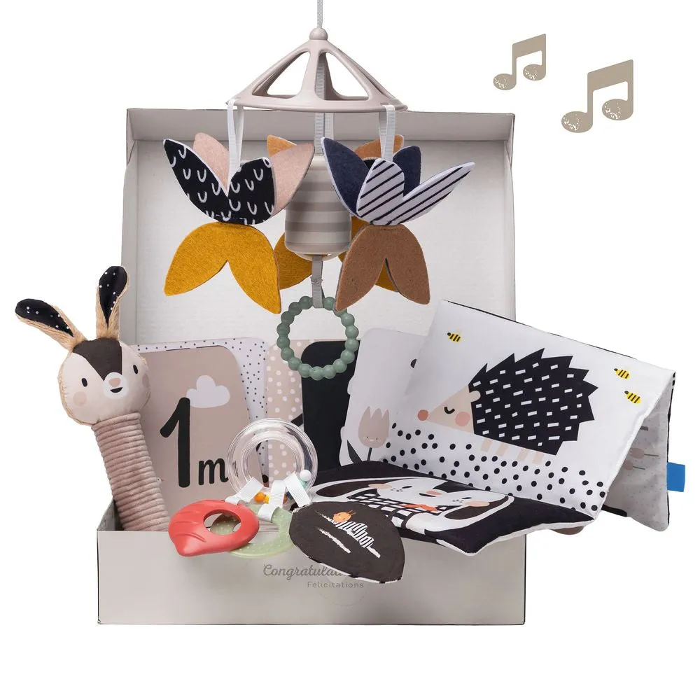Taf Toys Black & White Newborn Kit
