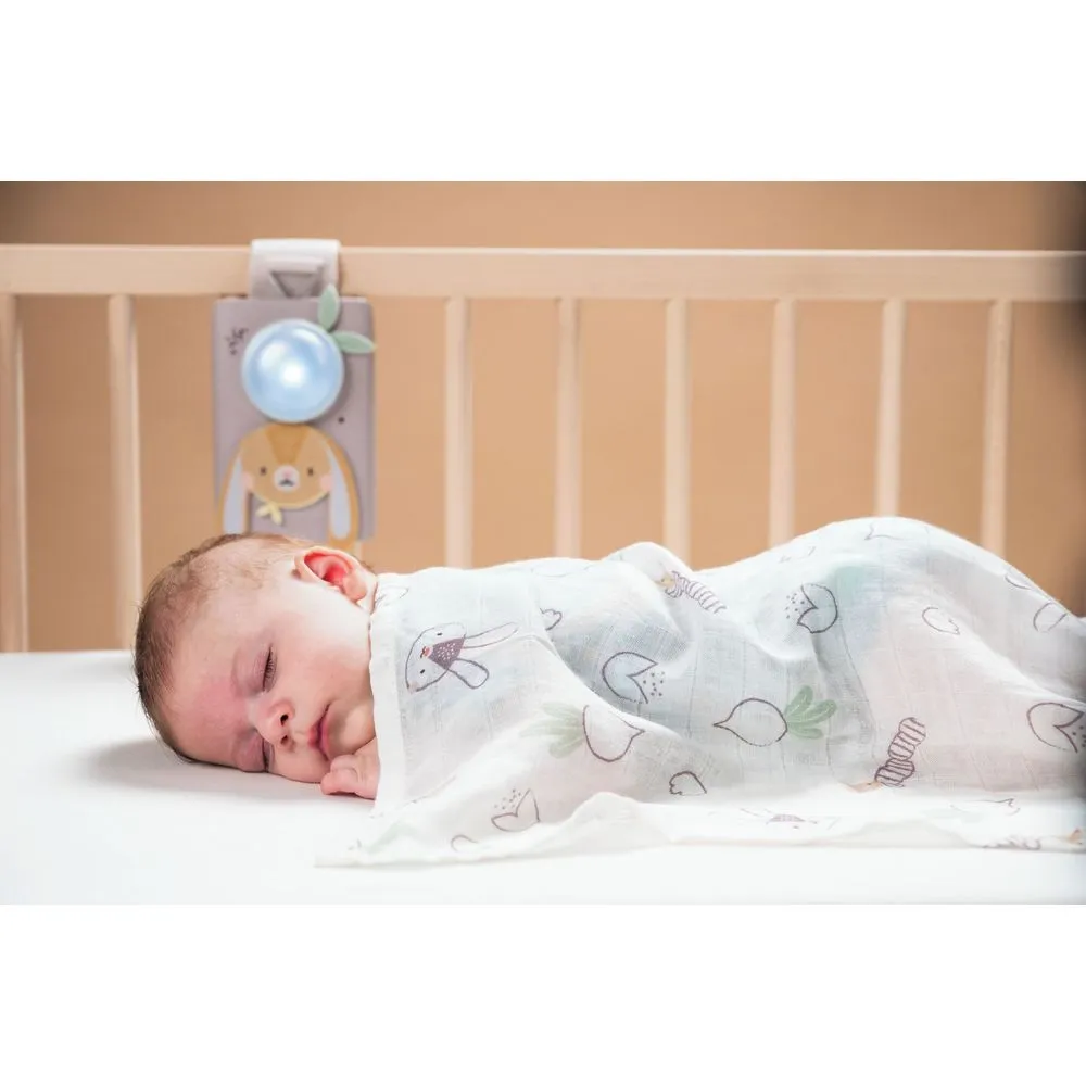 Taf Toys Bunny Soother and Swaddle Set