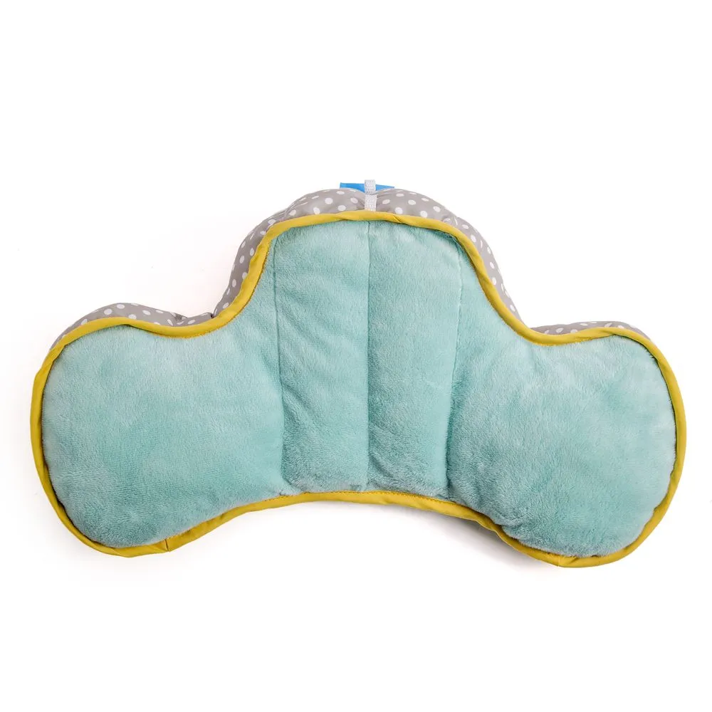 Taf Toys Developmental Pillow