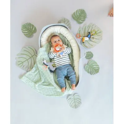 Taf Toys Dizi the Zebra