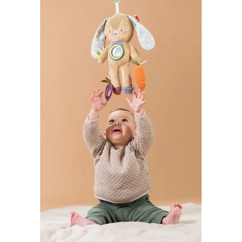 Taf Toys Jenny Bunny Activity Toy