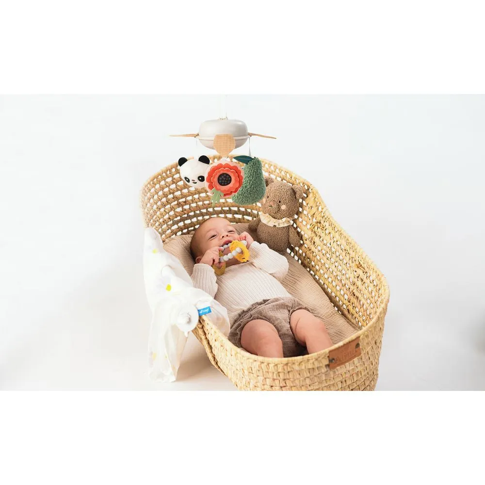 Taf Toys Luxury Newborn Gift set