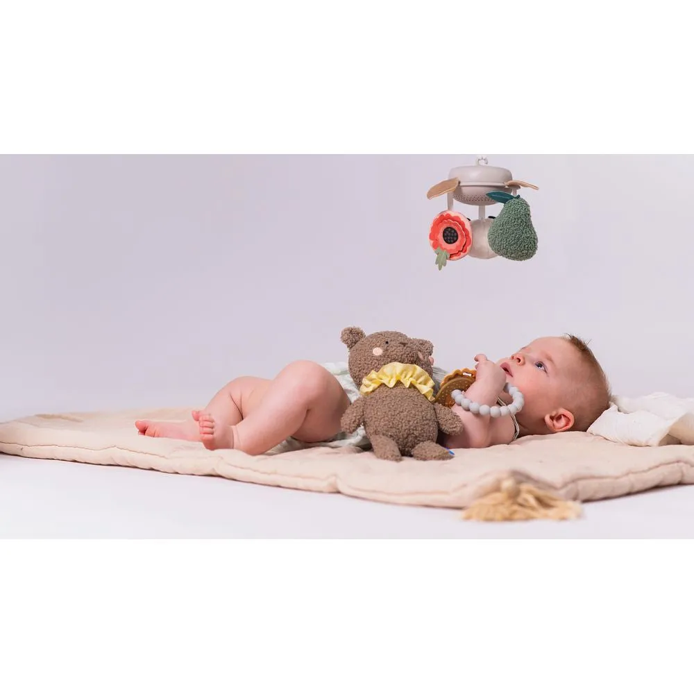 Taf Toys Luxury Newborn Gift set