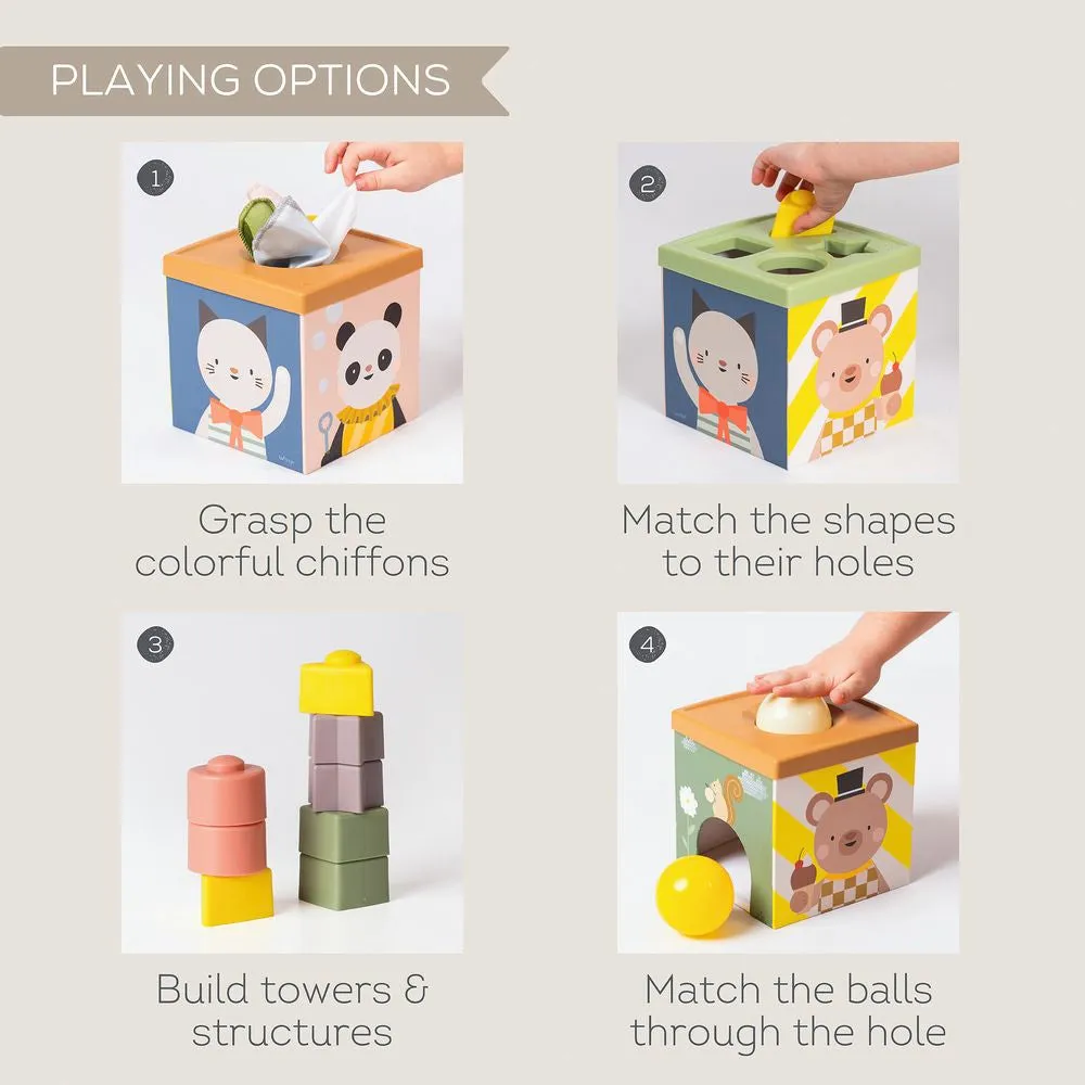 Taf Toys Play & Discover Cube