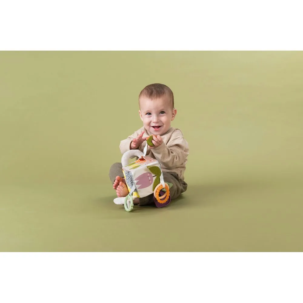 Taf Toys Urban Garden Activity Cube