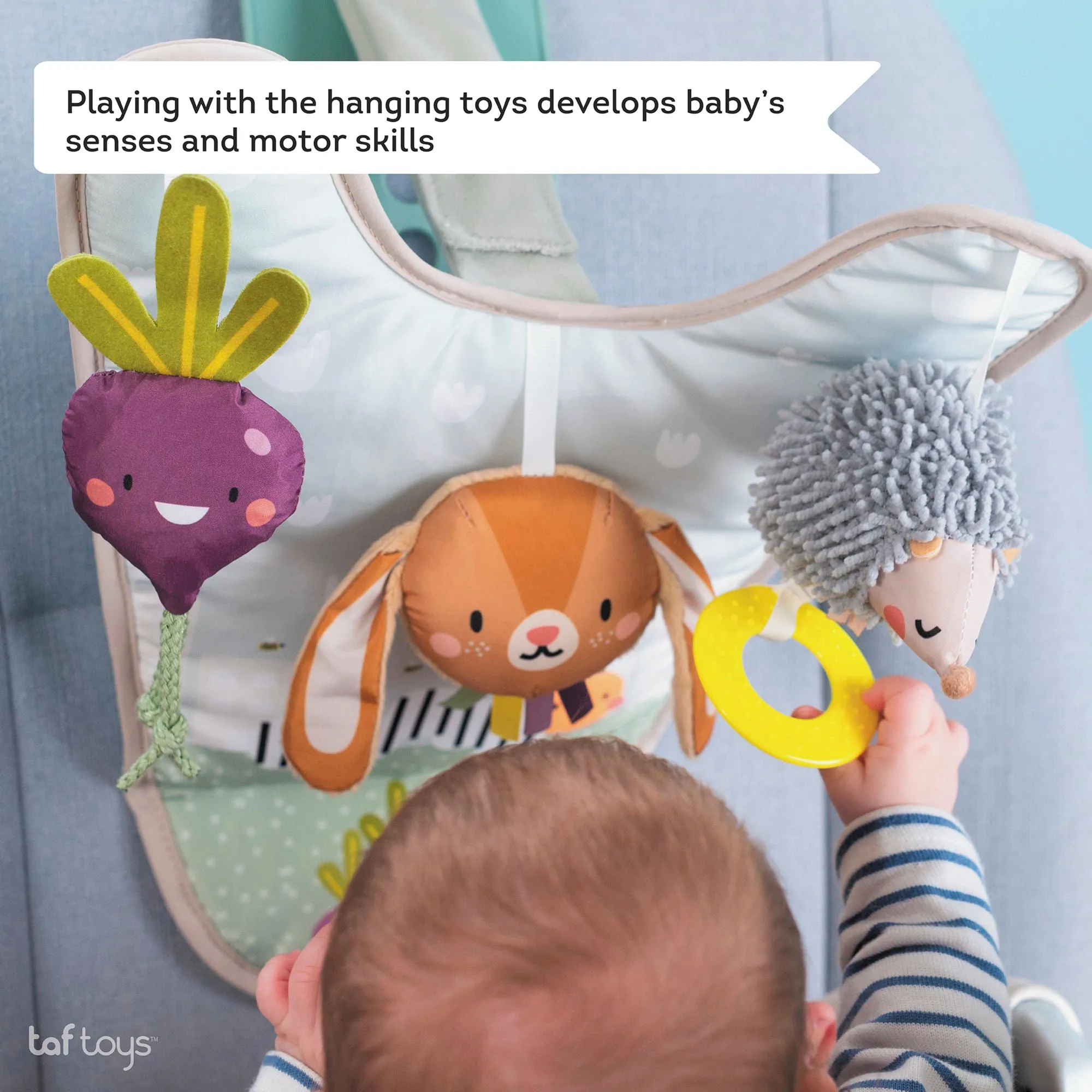 Taf Toys Urban Garden In Car Activity Centre