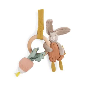 Three Little Rabbits - Activity Toy.