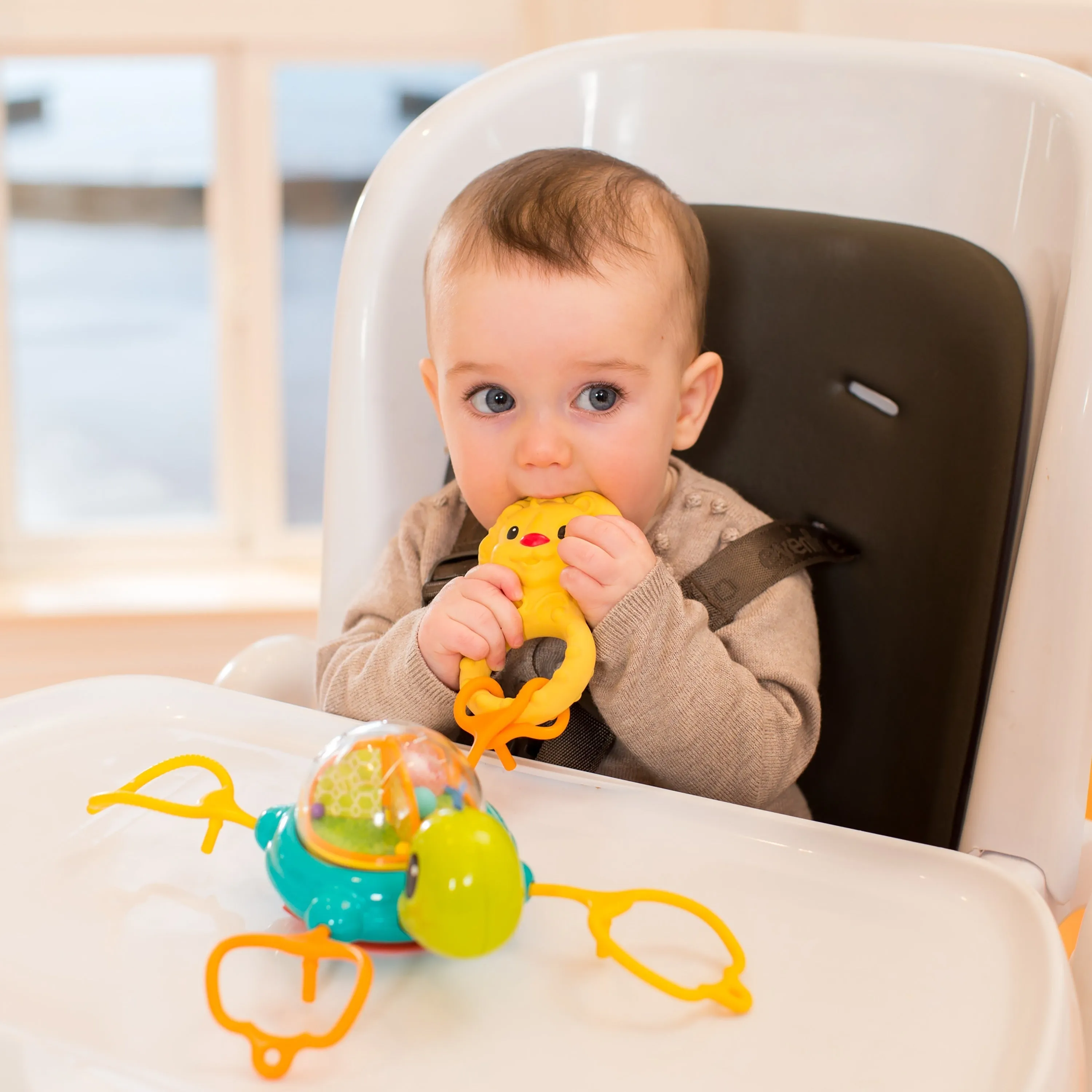 Turtle Suction Cup Link & Spin Toy™