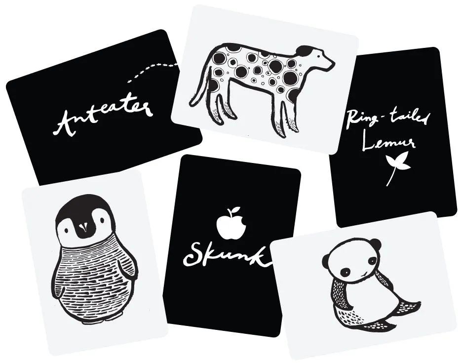 Wee Gallery Black & White Art Cards for Baby