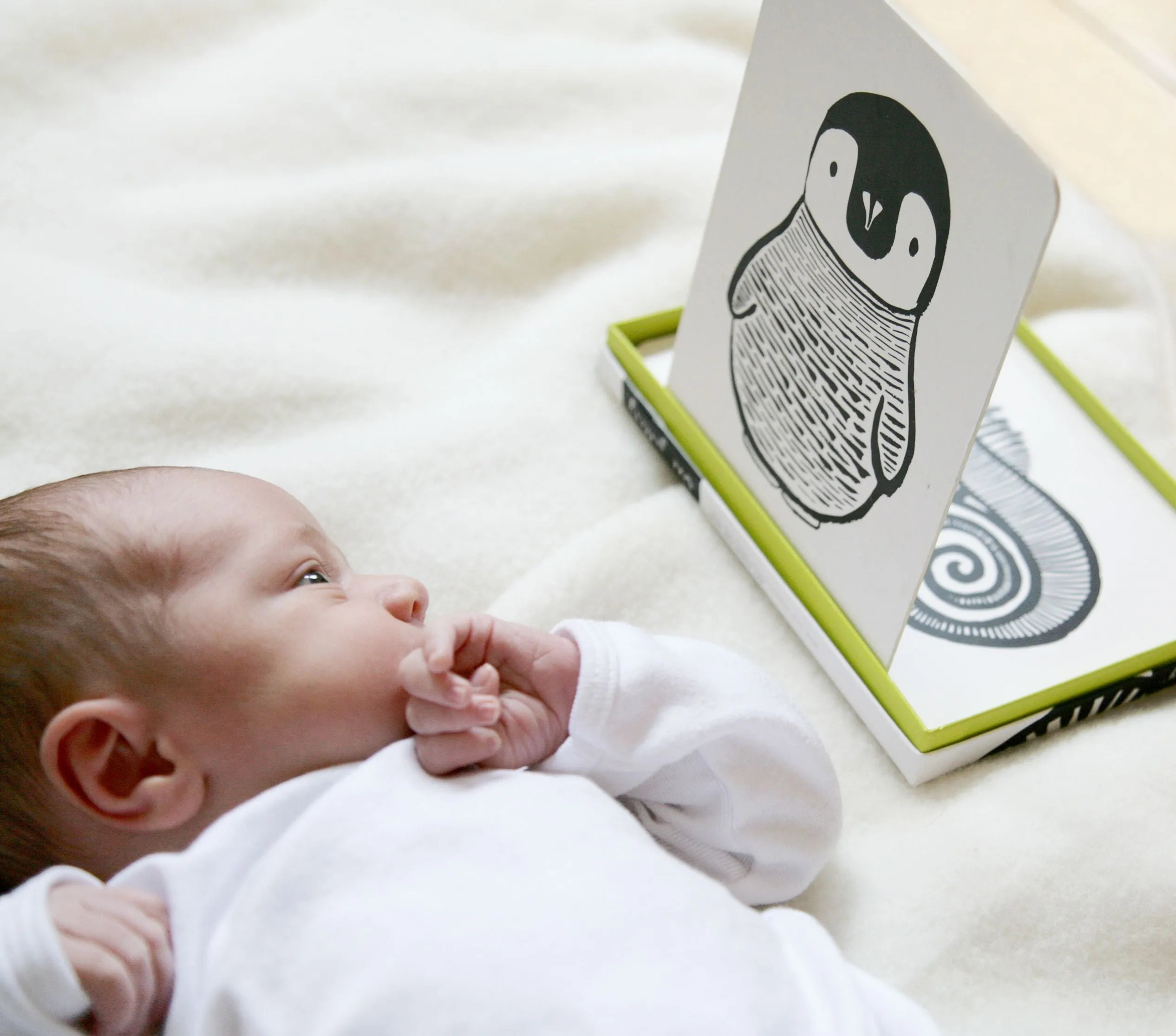 Wee Gallery Black & White Art Cards for Baby